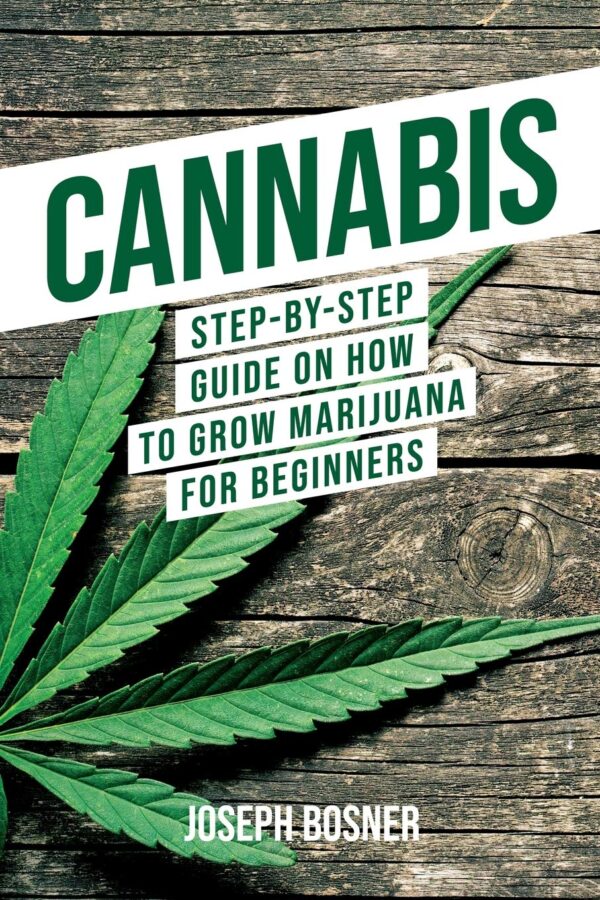 Cannabis: Step-By-Step Guide on How to Grow Marijuana for Beginners